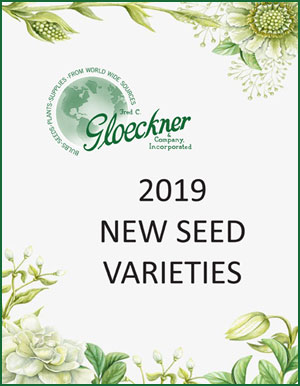 2019 New Seed Varieties