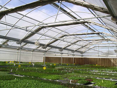 Agra Tech Insulator Greenhouse